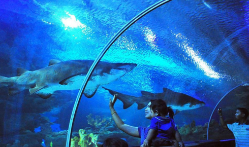 aquaria klcc