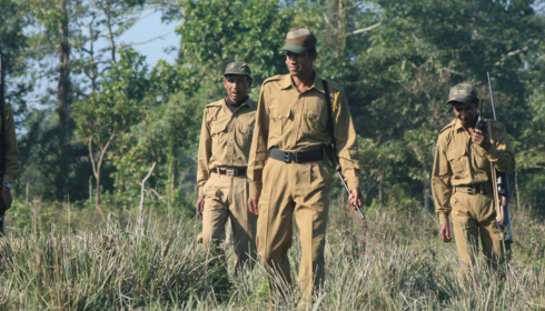 Van Vibhag Bharti Apply Online: How to Secure a Forest Department Job in India